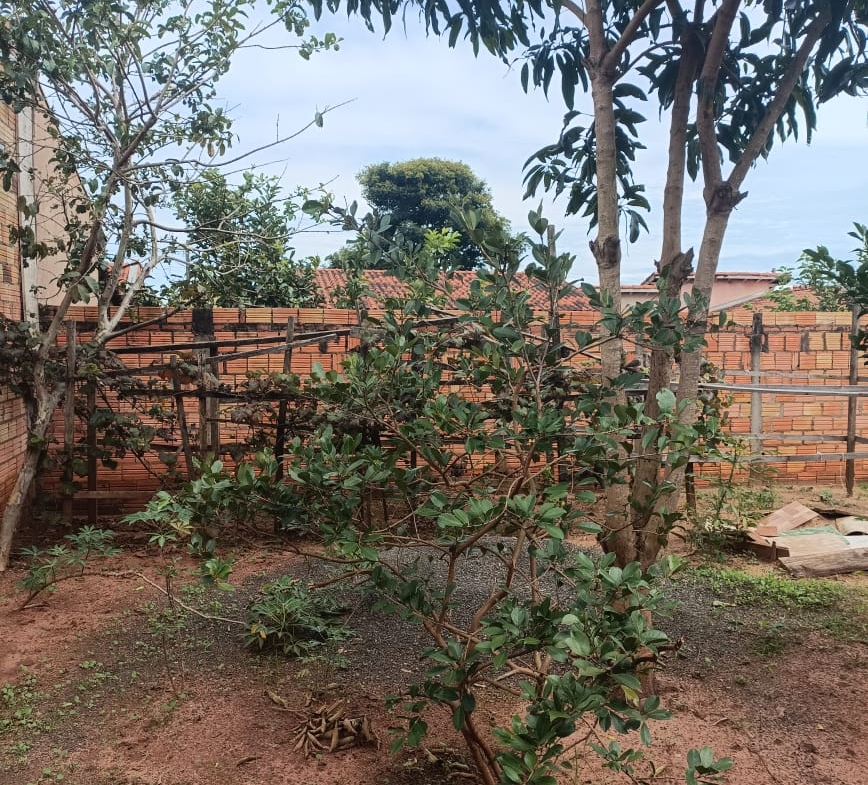 Casa a venda em Manduri.